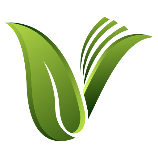 Vlemon